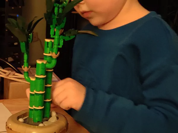 Lego-Lucky Bamboo
